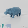 Hippopotamus - hippopotamus 01