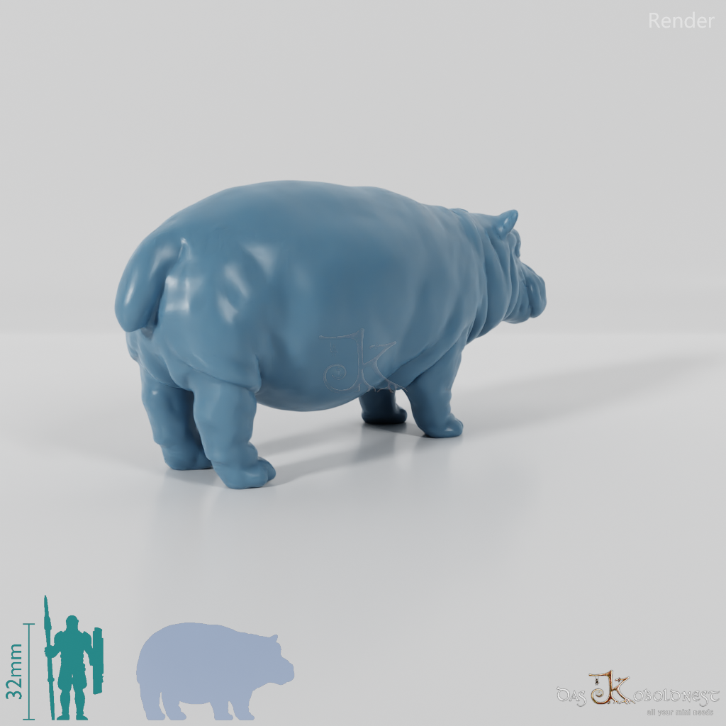 Hippopotamus - hippopotamus 01