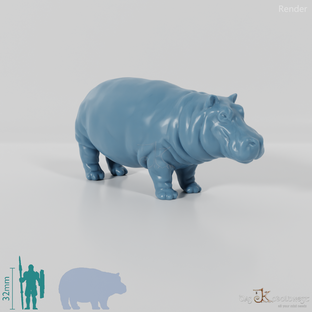 Hippopotamus - hippopotamus 01