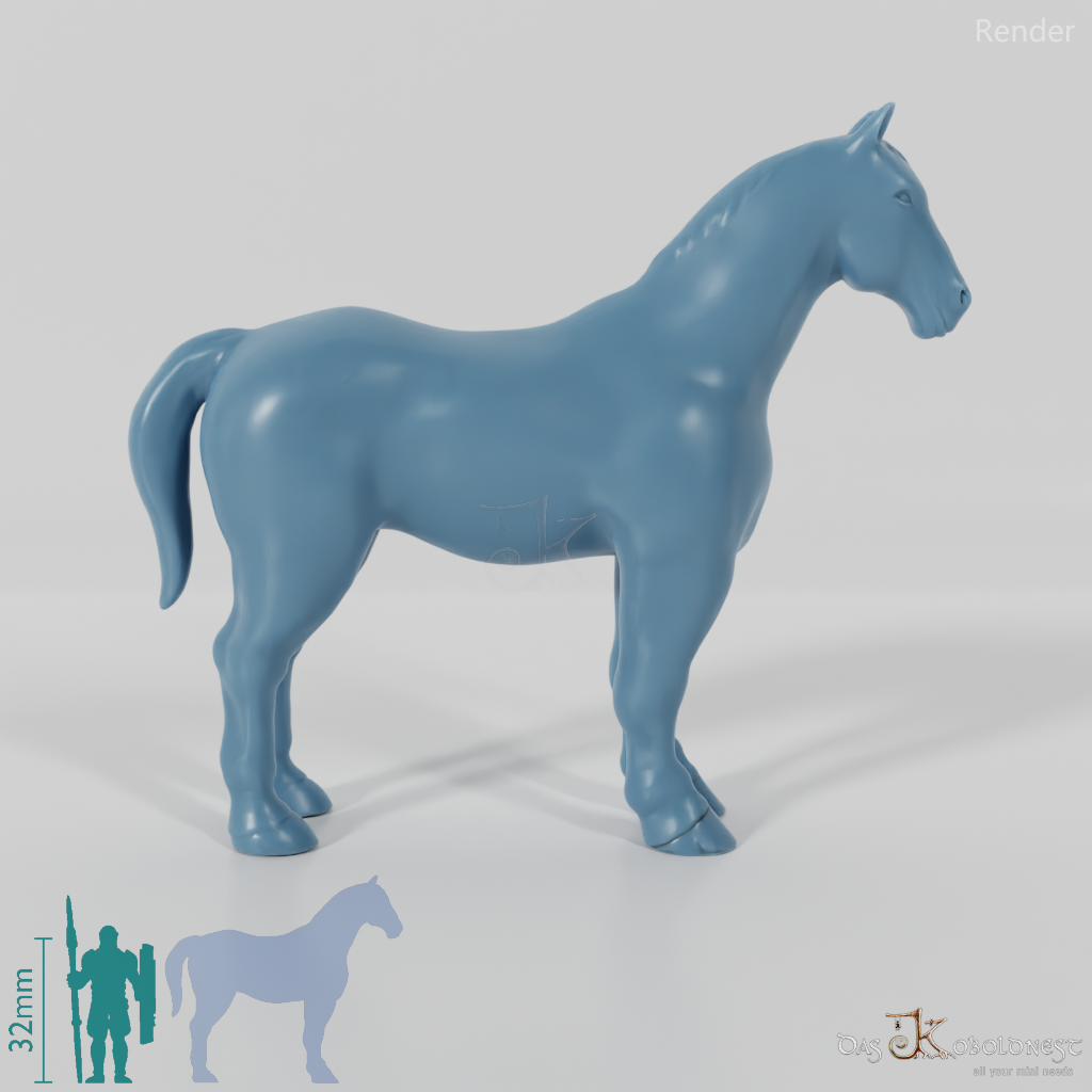 Horse - Horse 01