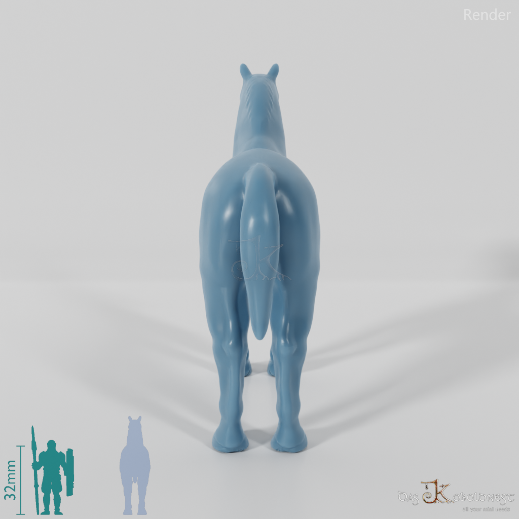 Horse - Horse 01