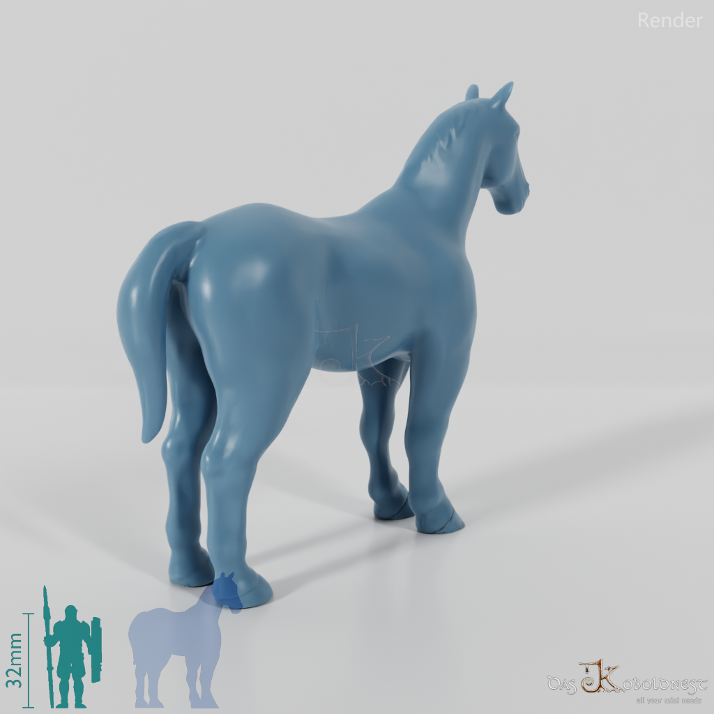 Horse - Horse 01