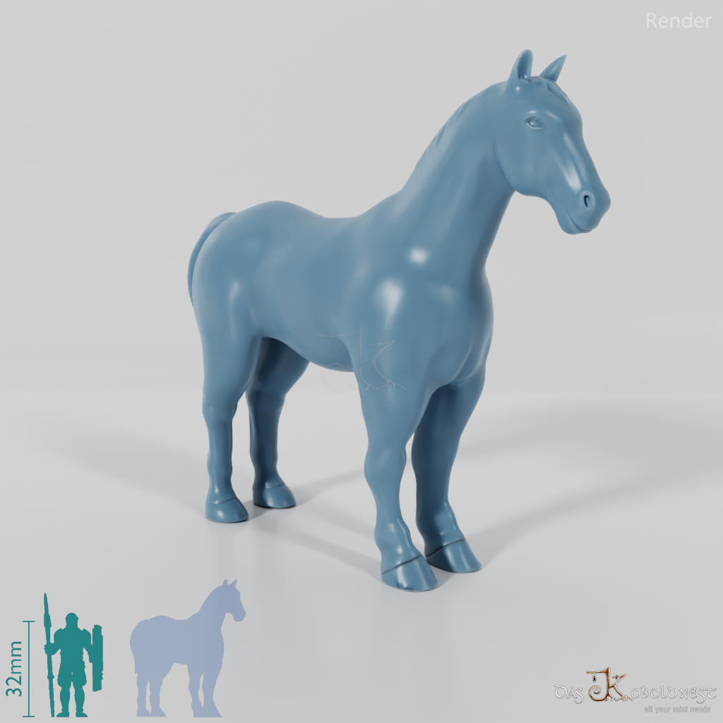 Horse - Horse 01