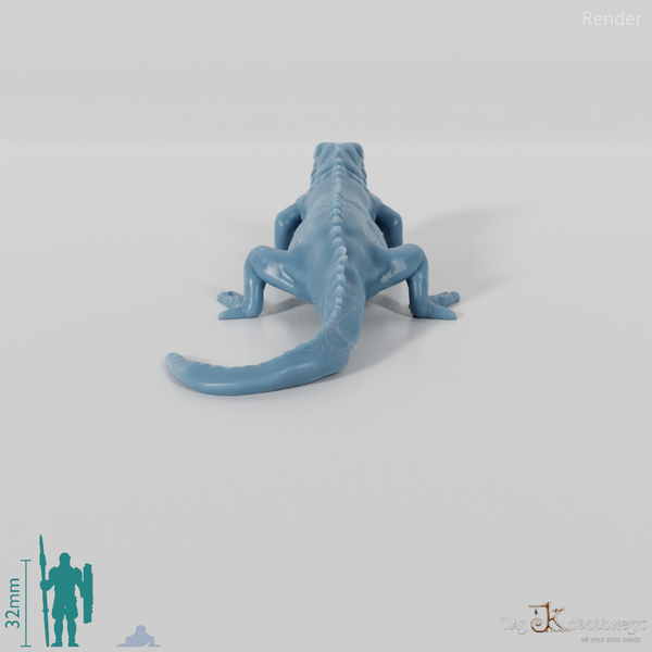 Iguana - Green Iguana 01