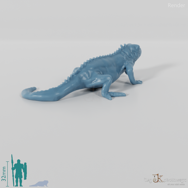 Iguana - Green Iguana 01