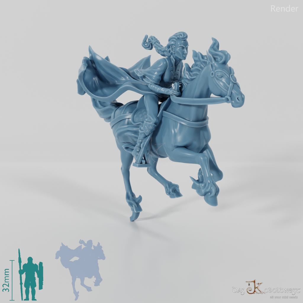 Mrs. Aranwen, Elven noblewoman on horseback