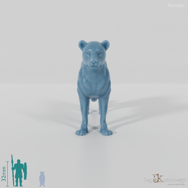 Big Cat - Leopard 01