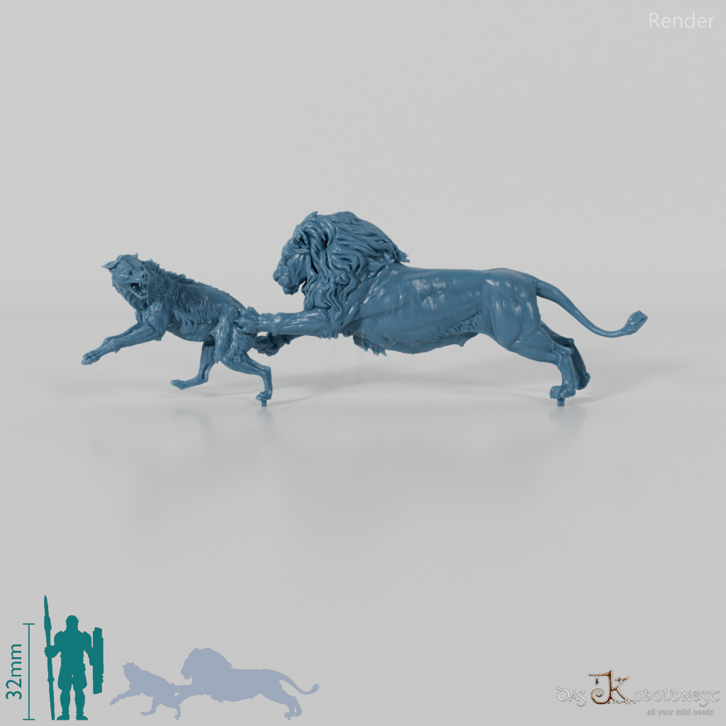 Raubkatze - Löwe auf der Jagd nach Tüpfelhyäne