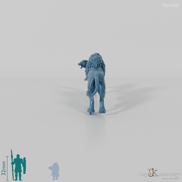 Big cat - lion hunting spotted hyena