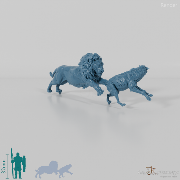 Big cat - lion hunting spotted hyena