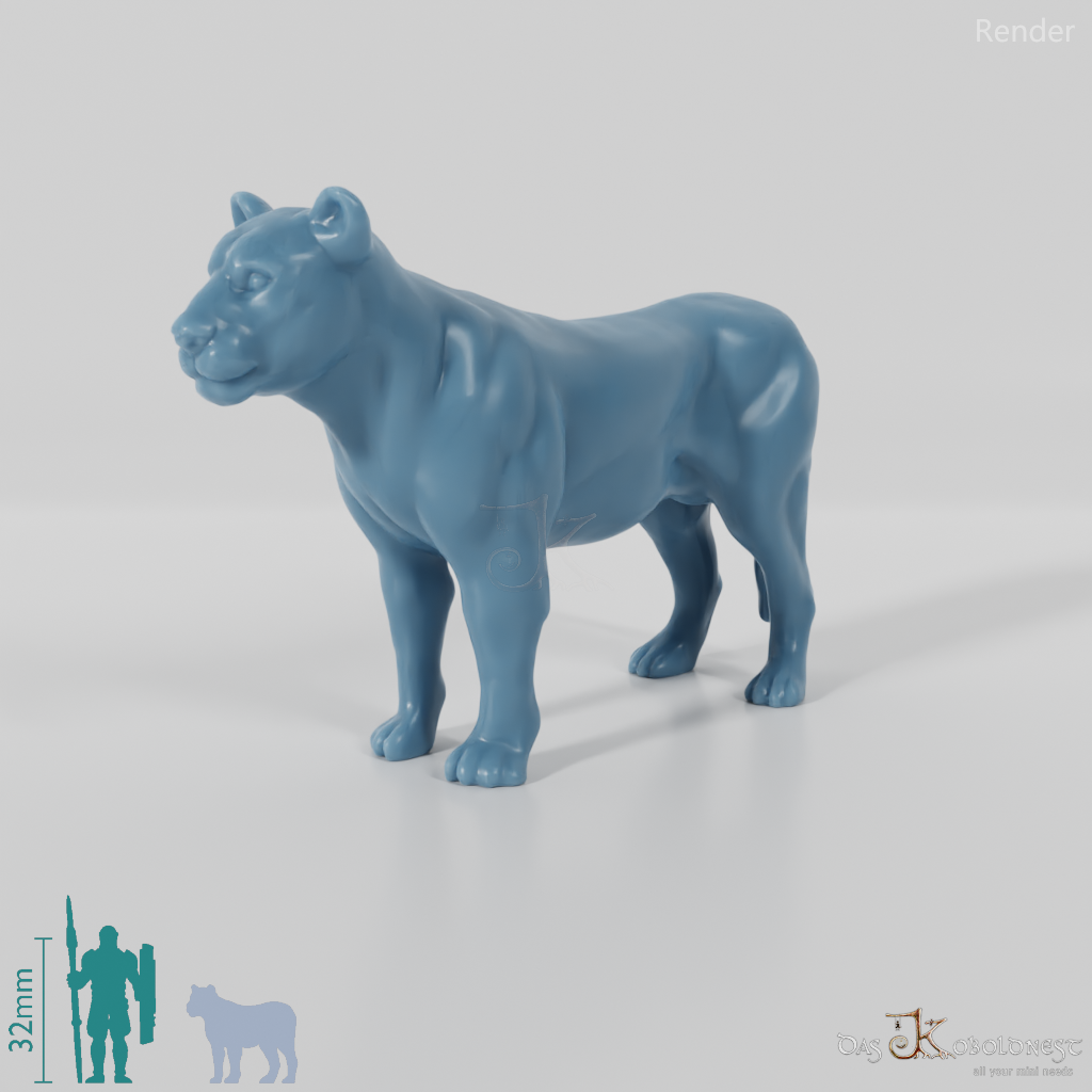 Big cat - lioness 01