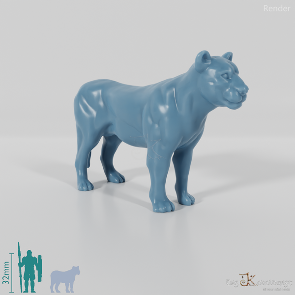 Big cat - lioness 01