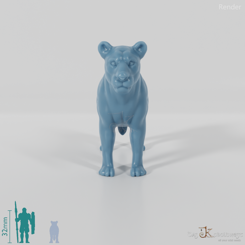 Big cat - lioness 01