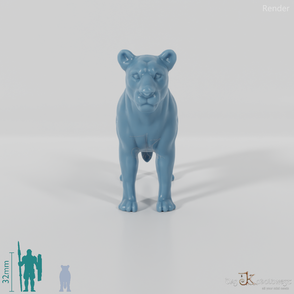 Big cat - lioness 01
