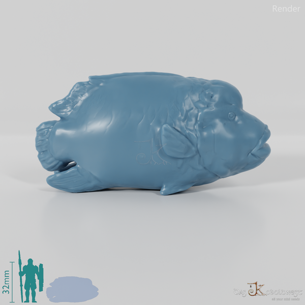 Fisch - Napoleon-Lippfisch 01