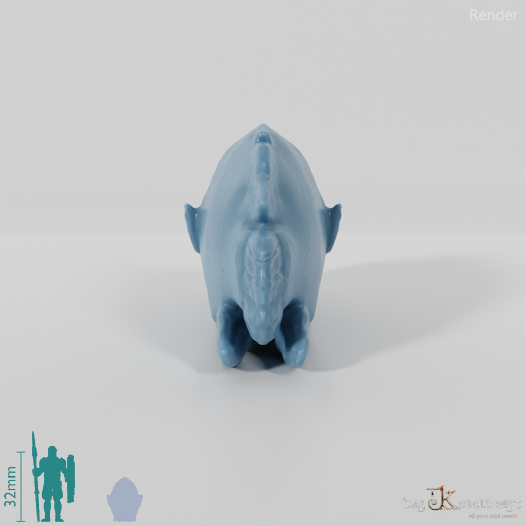 Fisch - Napoleon-Lippfisch 01