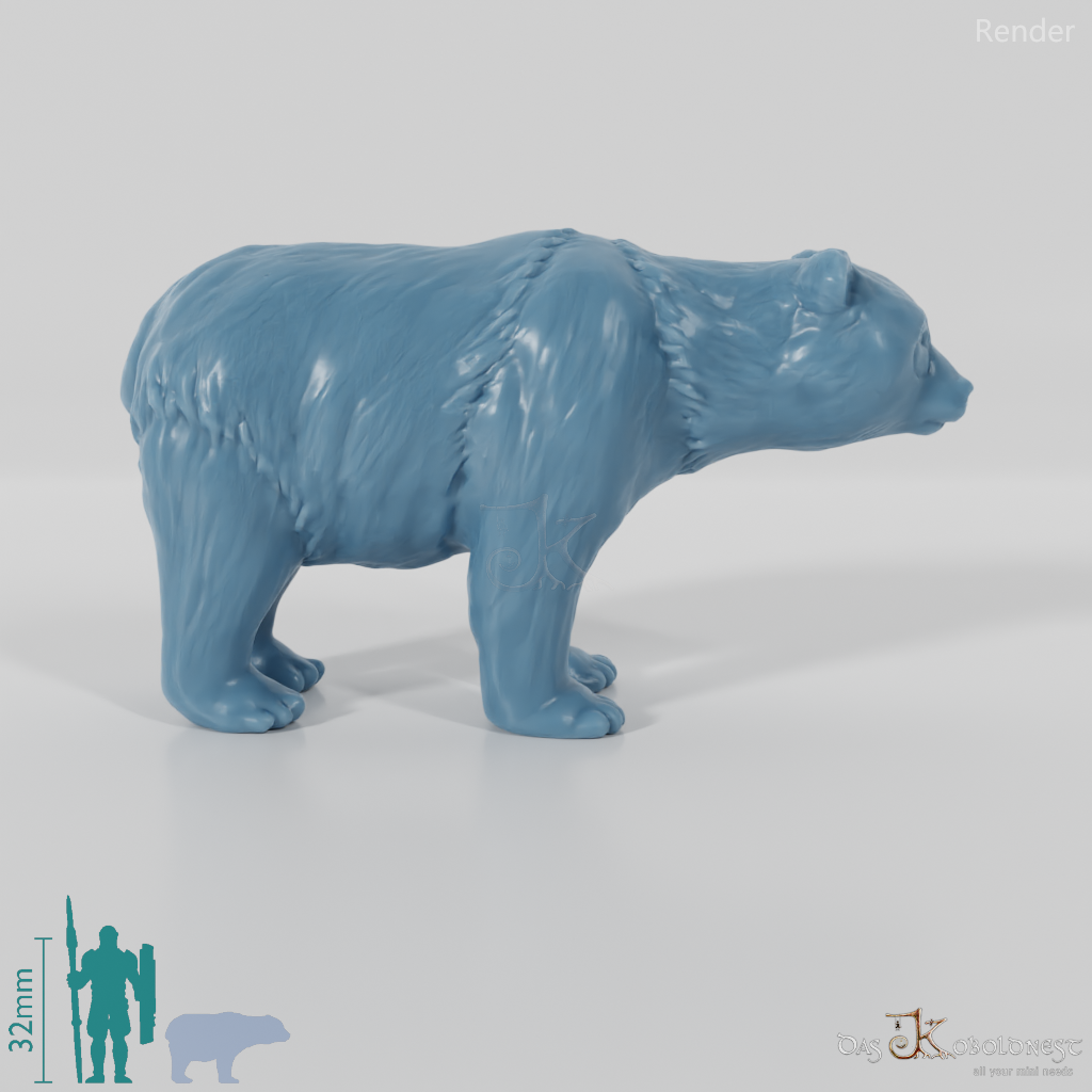 Bear - Giant Panda 01