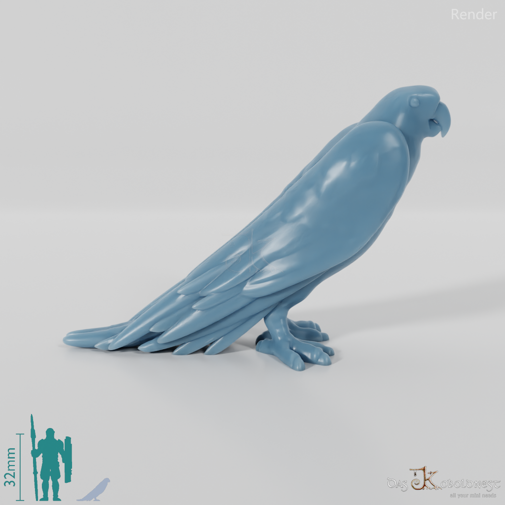 Parrot - Parrot 01
