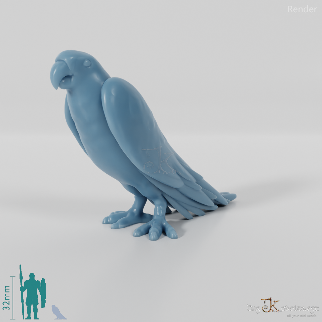 Parrot - Parrot 01