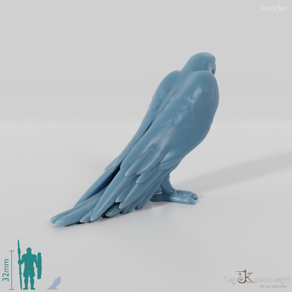 Parrot - Parrot 01