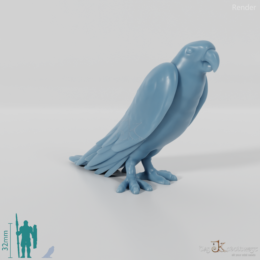 Papagei - Papagei 01