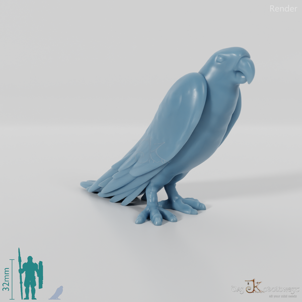 Parrot - Parrot 01