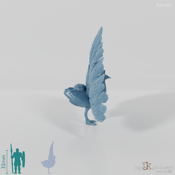 Chicken Bird - Cartwheeling Peacock 01