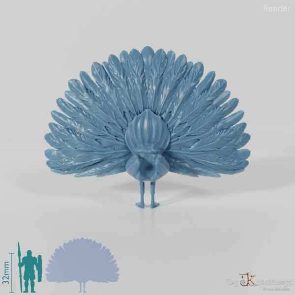 Chicken Bird - Cartwheeling Peacock 01