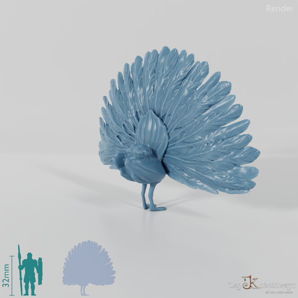 Chicken Bird - Cartwheeling Peacock 01