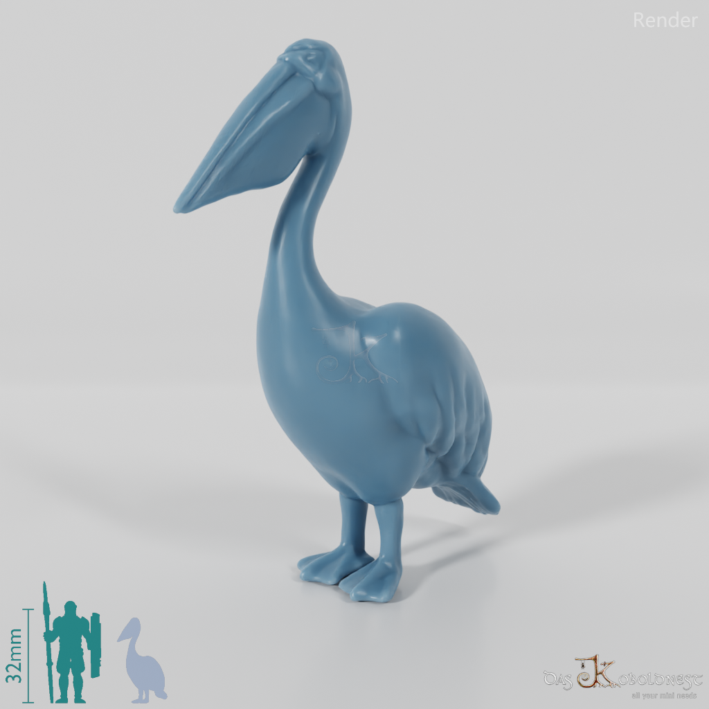 Bird - Pelican 01