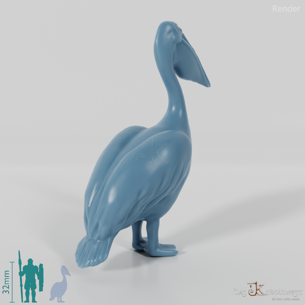 Bird - Pelican 01