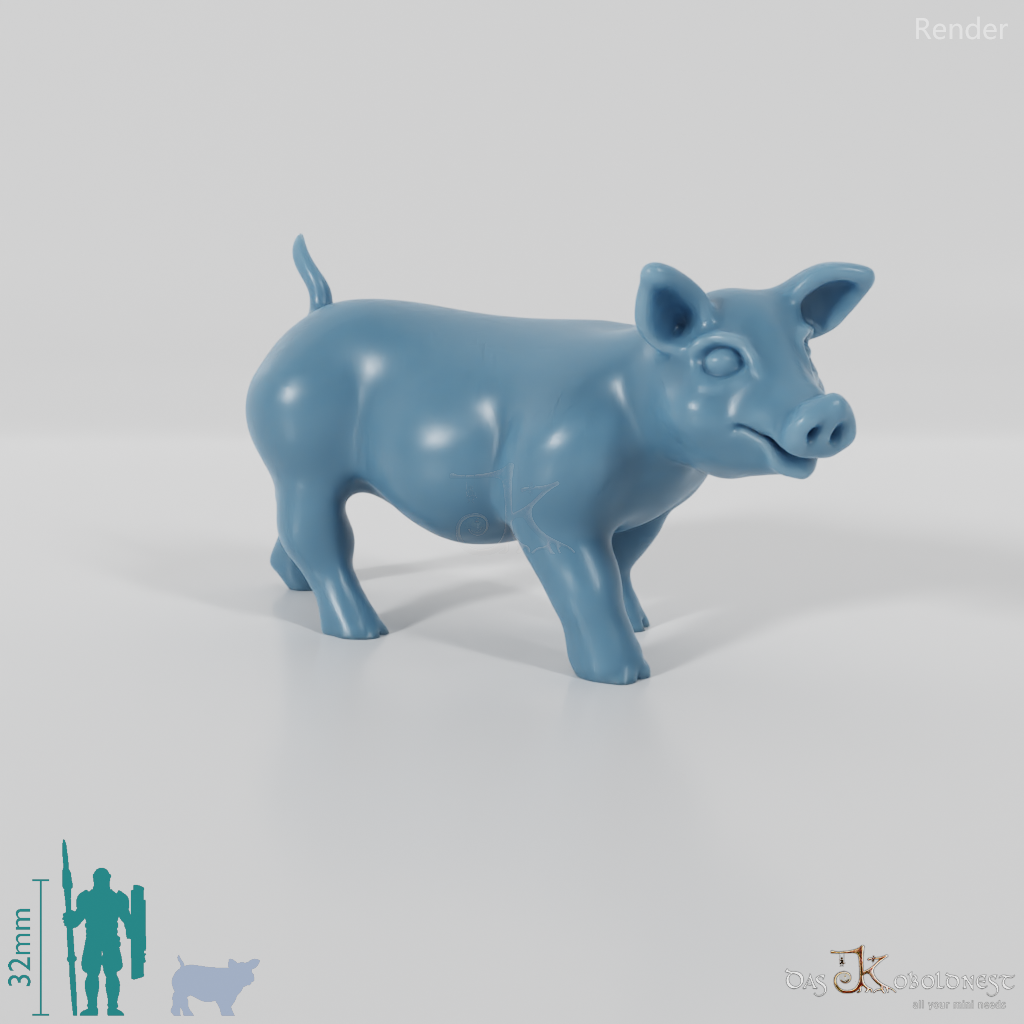 Hausschwein - Schwein 06