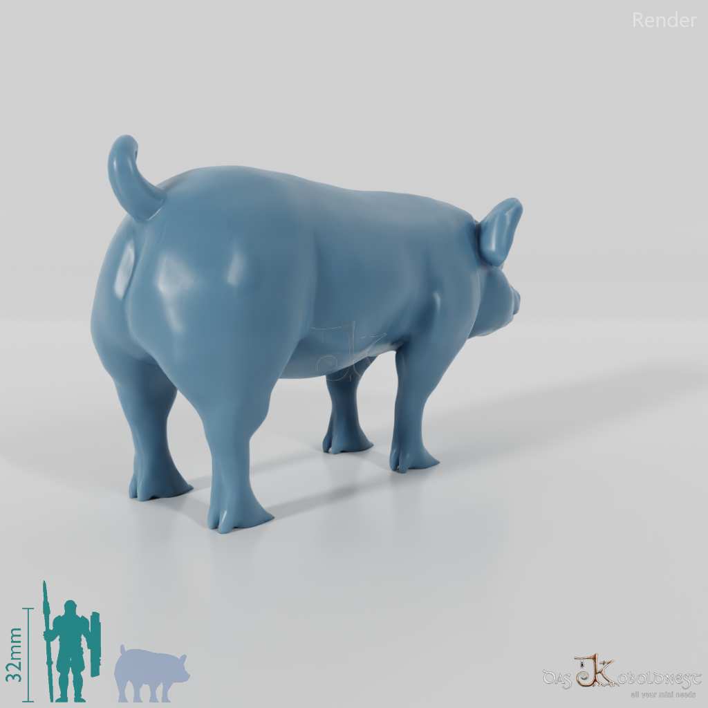 Hausschwein - Schwein 01