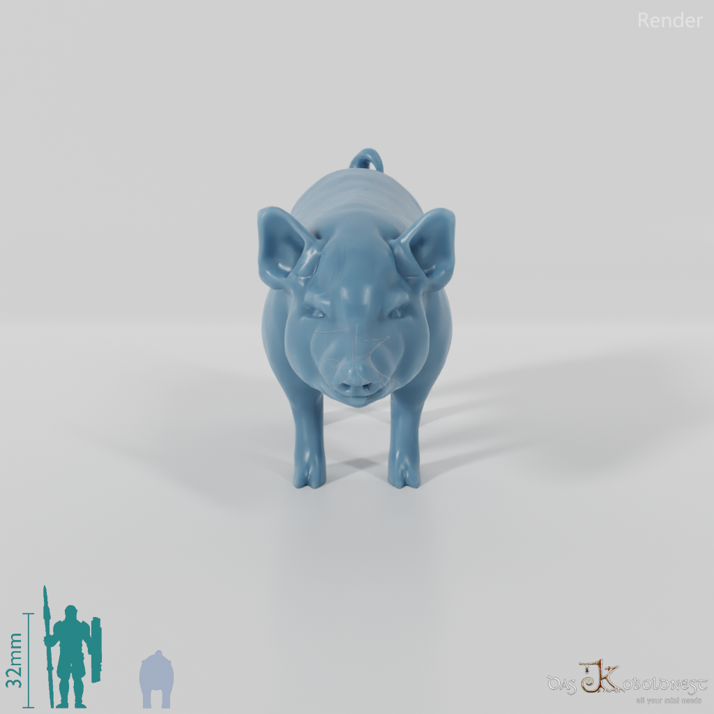 Hausschwein - Schwein 01