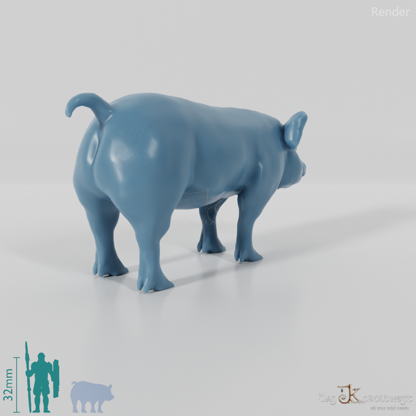 Hausschwein - Schwein 02