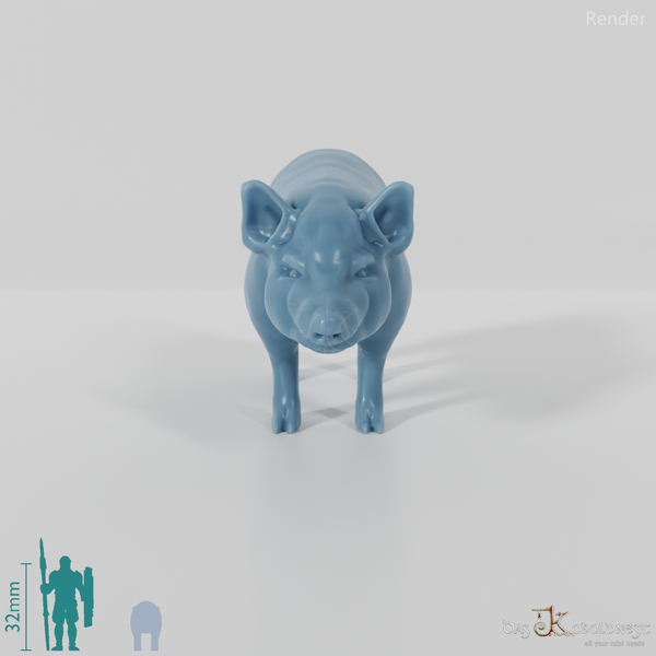 Hausschwein - Schwein 02