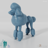 Dog - Poodle 01