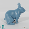 Bunny - Bunny 01