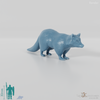 Raccoon - Raccoon 01