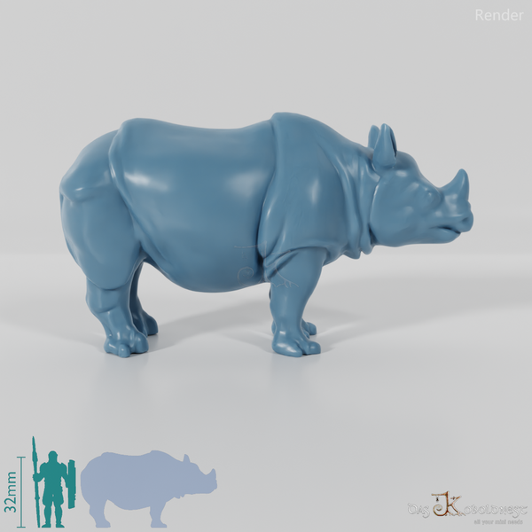 Rhinoceros - Rhinoceros 01