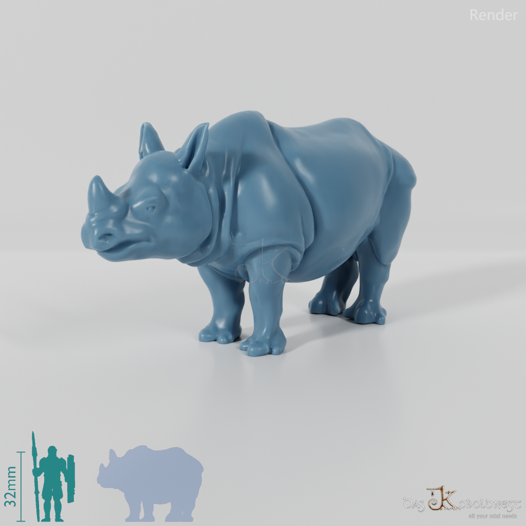 Rhinoceros - Rhinoceros 01