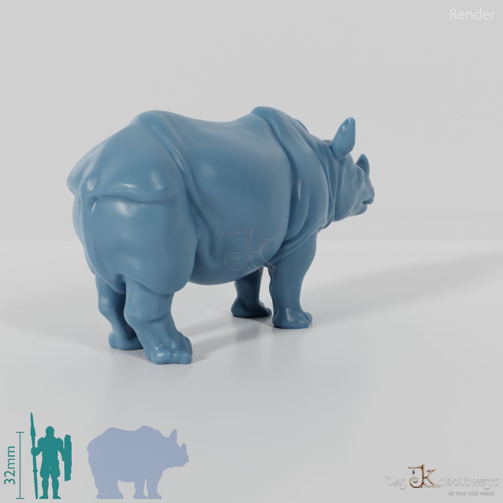Rhinoceros - Rhinoceros 01