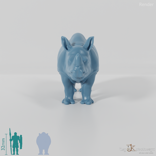 Rhinoceros - Rhinoceros 01
