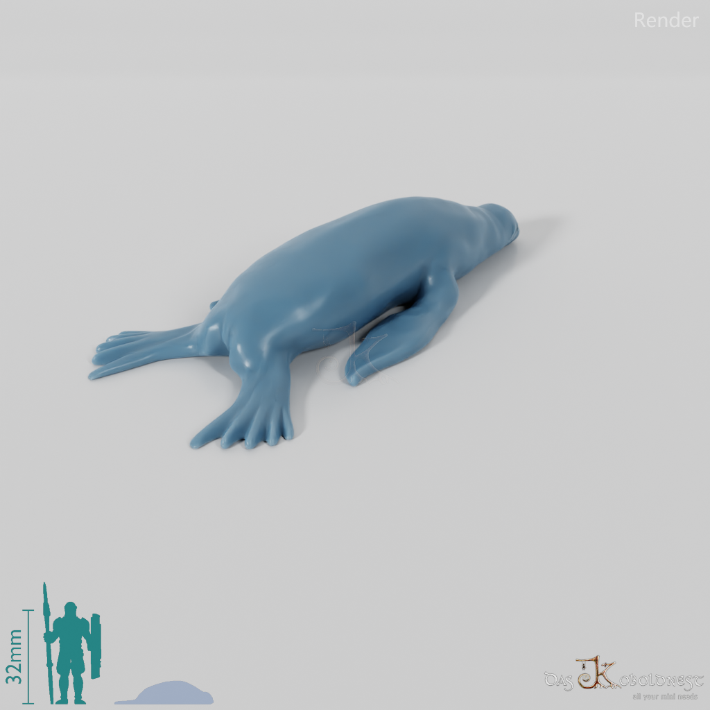 Seal - sea lion 01