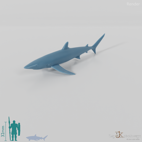Shark - Shark 01