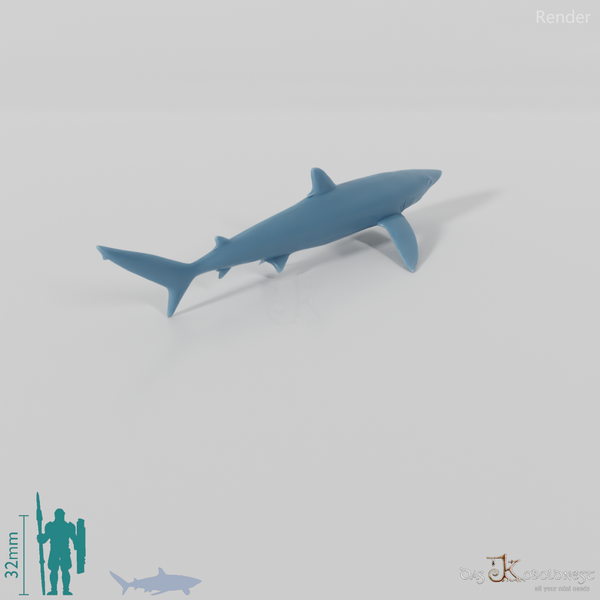 Shark - Shark 01