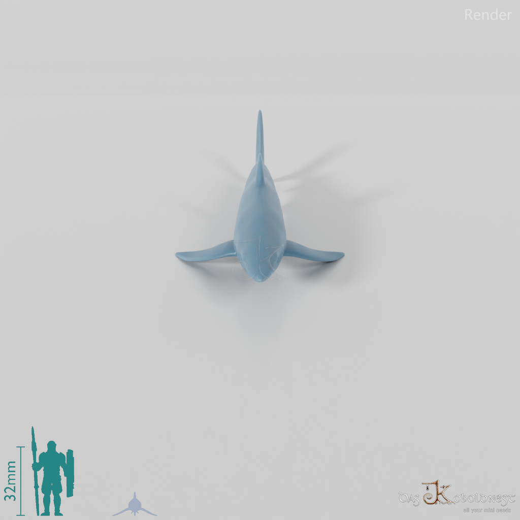 Shark - Shark 01