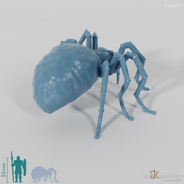 Spider - Skull Spider 01