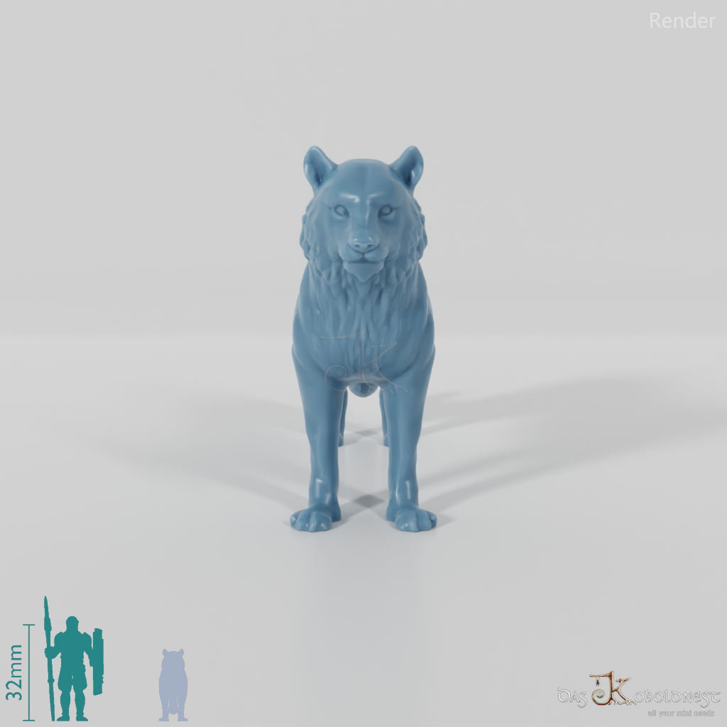 Big Cat - Tiger 01