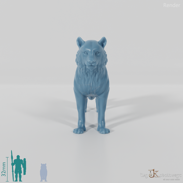 Raubkatze - Tiger 01